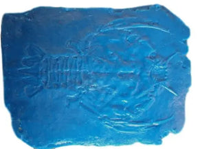 Fossil Print Rubber Mold Stamp for Concrete or Drywall Plaster Walttools-Stamps
