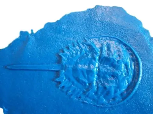 Fossil Print Rubber Mold Stamp for Concrete or Drywall Plaster Walttools-Stamps