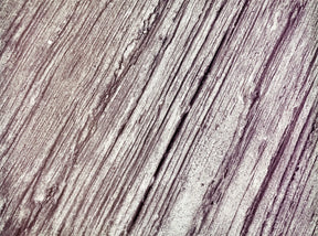 Concrete Wood Seamless Stamps - Old Wood Grain Plank Skins Walttools-Stamps